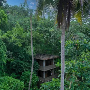 Lodge Taino Lofts